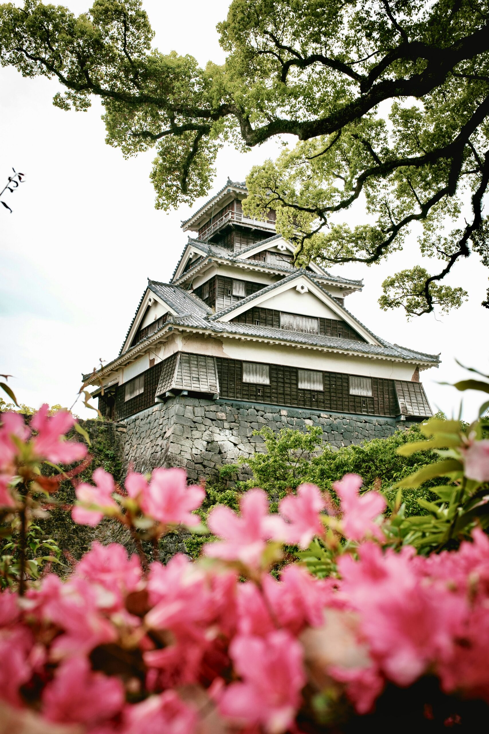 Kumamoto